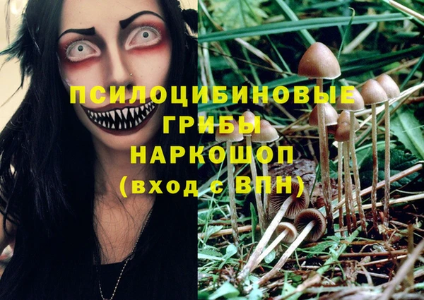 гашиш Арсеньев